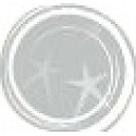 Essence Nail Art Cracking Decklack mit rissigem Lackeffekt 04 Silber 8 ml