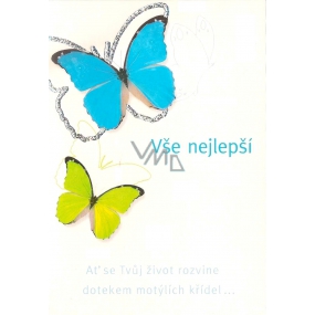 Nekupto Geburtstagskarte Glücklicher blauer und grüner Schmetterling