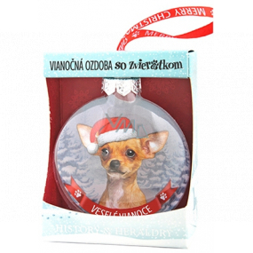Albi Glas Weihnachtsschmuck mit Tieren - Chihuahua, 7,5 cm x 8 cm x 3,6 cm