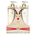 Grace Cole Toasted Praline & Snowberies Flüssigseifenspender 500 ml + Handmilchspender 500 ml, Kosmetikset