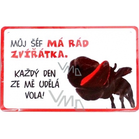 Nekupto Humor in der Tschechischen Republik humorvolles Zeichen 15 x 10 cm 1 Stück