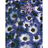 Nekupto Geschenk Papiertüte 23 x 18 x 10 cm Lila Blumen 1107 40 KFM