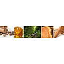 WoodWick Trilogy Forest Retreat - Entfliehen Sie der Waldkerzkerze mit breitem Holzdocht und Bootsdeckel 453 g