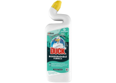 Duck ECO Coastal Forest Wc Flüssigreiniger mit Waldduft 750 ml