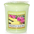 Yankee Candle Pineapple Cilantro - Ananas mit Kardamom-Votiv-Duftkerze 49 g