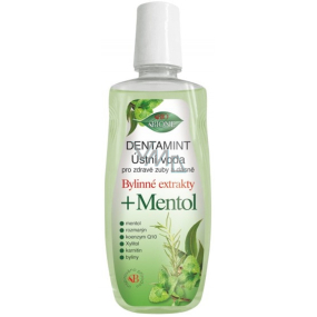 Bione Cosmetics Dentamint Menthol Mundwasser 500 ml