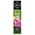 Gliss Kur Bio-Tech Restore Regenerative Express Haarbalsam Sprayer 200 ml