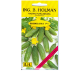 Holman F1 Bohdana-Gurken 2,5 g
