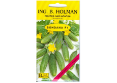 Holman F1 Bohdana-Gurken 2,5 g