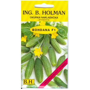 Holman F1 Bohdana Einlegegurken 2 g Holman F1 Bohdana Einlegegurken 2 g