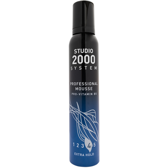 Studio Professional Mousse Haarfestiger, Provitamin B5 225 ml