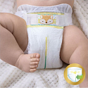 Pampers Premium Care 4 Maxi 8-14 kg Windelhöschen 52 Stück