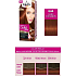 Schwarzkopf Palette Perfect Color Care Haarfarbe 644 Dunkler Zimt