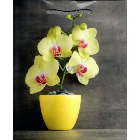 Nekupto Geschenk Papiertüte 18,5 x 23 x 10 cm Orchidee 1681 02 KFM