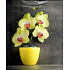Nekupto Geschenk Papiertüte 18,5 x 23 x 10 cm Orchidee 1681 02 KFM