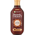 Garnier Botanic Therapy Ginger Recovery Shampoo für stumpfes und feines Haar 250 ml