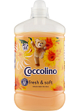 Coccolino Weichspüler Orange Rush, 68 Wäschen, 1,7 l