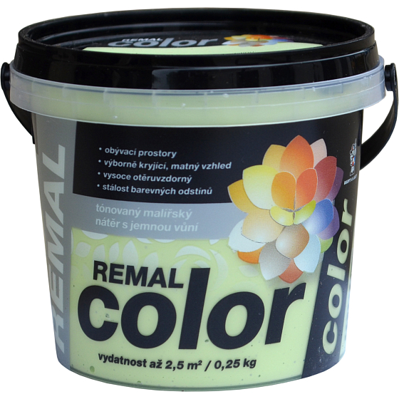 REMAL Color Malfarbe für Wände 530 Minze, 250 g