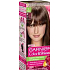 Garnier Color & Shine Haarfarbe 6.0 sehr hellbraun