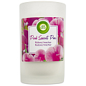 Air Wick Pink Sweet Pea - Duftkerzenglas Pink Pea XXL 310 g