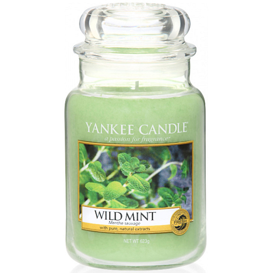 Yankee Candle Wild Mint Klassische Minzkerze Großes Glas 623 g
