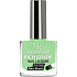 Golden Rose Rich Color Nagellack Nagellack 070 10,5 ml