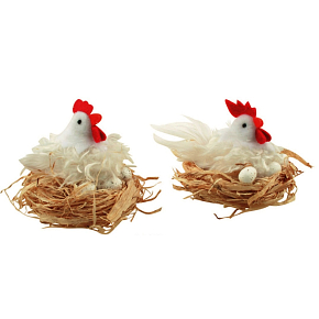 Weiße zottige Henne in einem 12 cm Nest