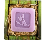 Bohemia Gifts Lavendel handgemachte Toilettenseife in einer Schachtel mit 60 g