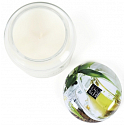 Heart & Home Weißer Tee und Eukalyptus Soja-Duftkerzenmedium brennt bis zu 30 Stunden 110 g