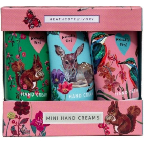 Heathcote & Ivory Forest Animals Hand- und Nagelcreme 3 x 30 ml, Kosmetikset