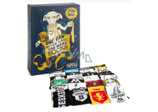 Degen Merch Harry Potter - Dobby Adventskalender 24 Tage Socke