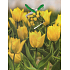Nekupto Geschenk Papiertüte 23 x 18 x 10 cm Gelbe Tulpen 1 Stück 951 01 BM