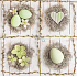 Nekupto Papierservietten 3 Lagen 33 x 33 cm 20 Stück Ostereier, Herzen, Blumen in Nestern