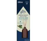 Glade Duftstäbchen Aromatherapy Reeds Refreshing Energy, 80 ml