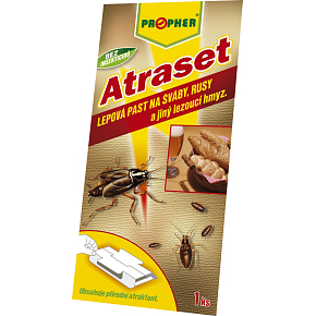 Atraset Klebefalle für Kakerlaken, Schaben und kriechende Insekten, 1 Stk