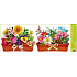Fensterfolie ohne Klebestreifen Box Blumen zwei Boxen 60 x 22,5 cm