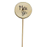 Bohemia Gifts Holzstecker für Kräuter mit Aufdruck - Minze, Durchmesser des Kreises ist 5 - 8 cm