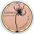 Catrice Glow Patrol Glühender Textmarker-Aufheller C02 Aphrodite 8,5 g