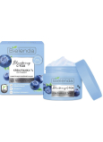 Bielenda Blueberry C-Tox feuchtigkeitsspendende und aufhellende Hautcreme Schaum Tag / Nacht 40 g