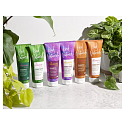 Kind Natured Weizenprotein und Pfefferminze Natürliche Haarspülung für Volumen 250 ml