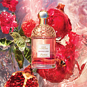 Guerlain Aqua Allegoria Granada Salvia Eau de Toilette für Frauen 30 ml