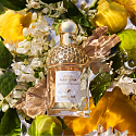 Guerlain Aqua Allegoria Bergamote Calabria Duschgel unisex 200 ml