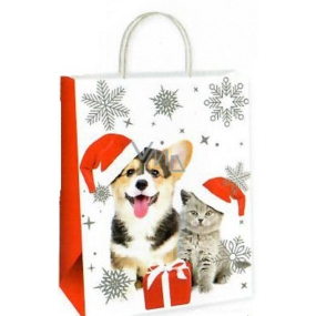Ditipo Geschenkpapier Tasche 22 x 10 x 29 cm Weihnachten Hund und Katze
