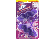 Cillit Bang Wild Orchid 6in1 - Wilde Orchidee WC Block 2 x 35 g