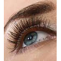 Miss Sports Lash Millionaire Chic Mascara für Volumen schwarz 8 ml