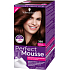 Schwarzkopf Perfect Mousse Permanentschaum Haarfarbe 388 Dunkelrotbraun