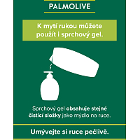 Palmolive Duschgel und Shampoo Men Refreshing 3in1, 250 ml