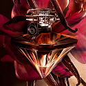 Lancome La Nuit Tresor Vanille Noire Parfum für Frauen 30 ml