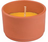 Solo Citronella Kerze gegen Insekten 130 g