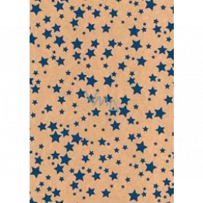 Ditipo Geschenkpapier 70 x 200 cm Weihnachten KRAFT blaue Sterne